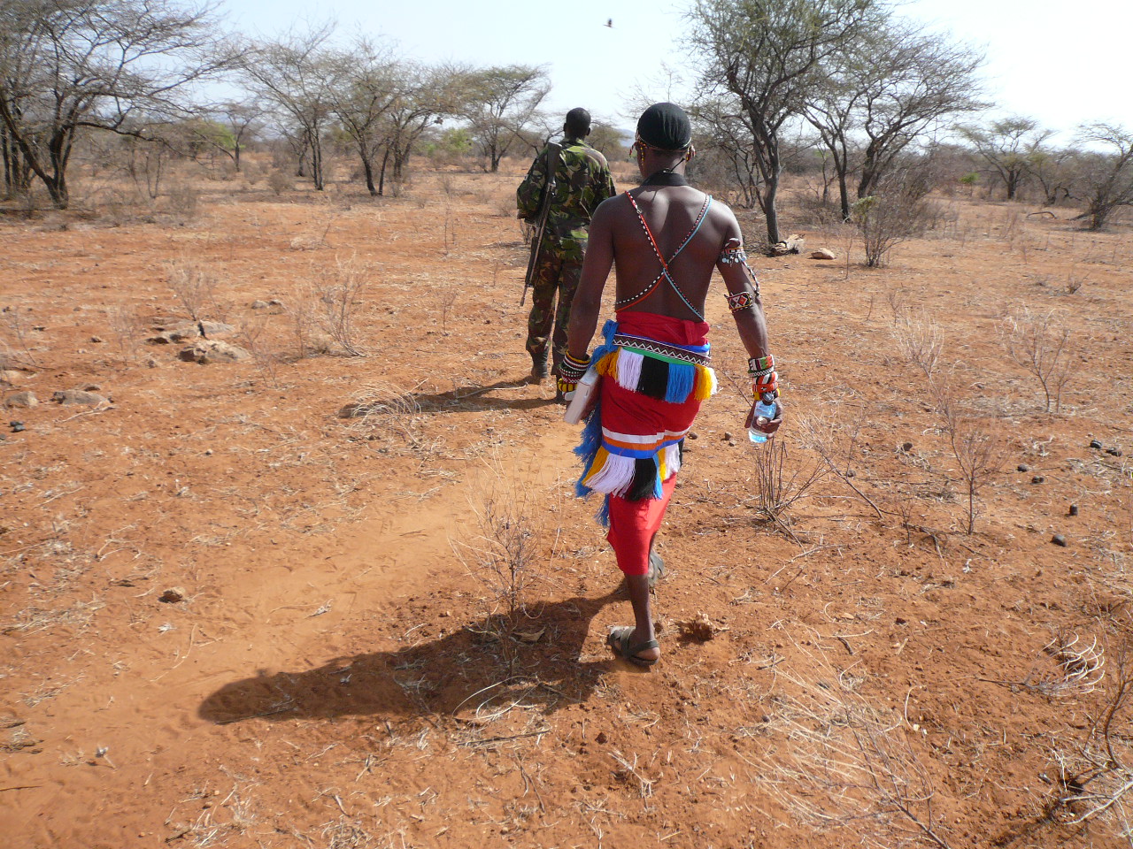 Bush walk with armed ranger and local Masai